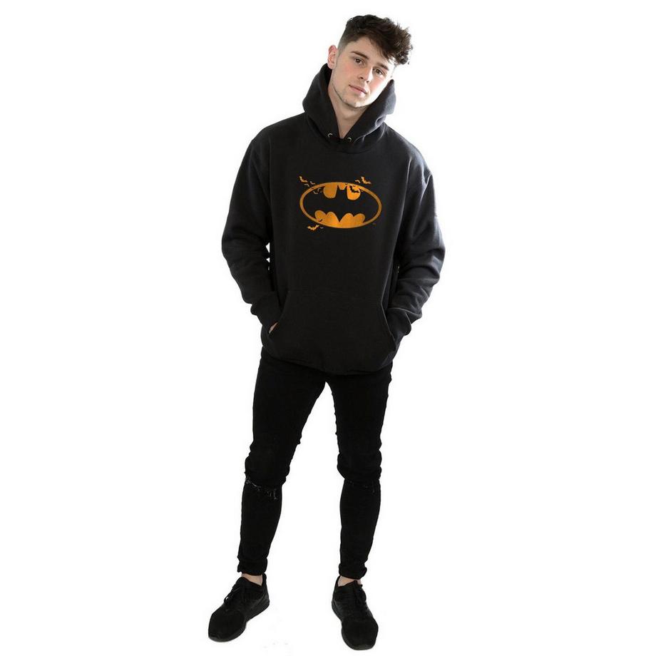 DC COMICS Batman Logo Sweat à capuche  