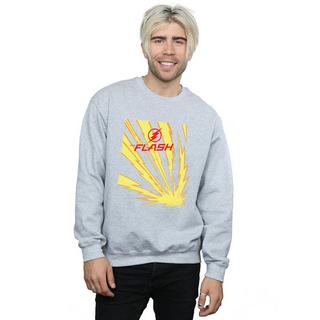 DC COMICS  Sweatshirt 