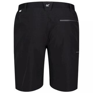 Regatta  Xert III Freizeitshorts 