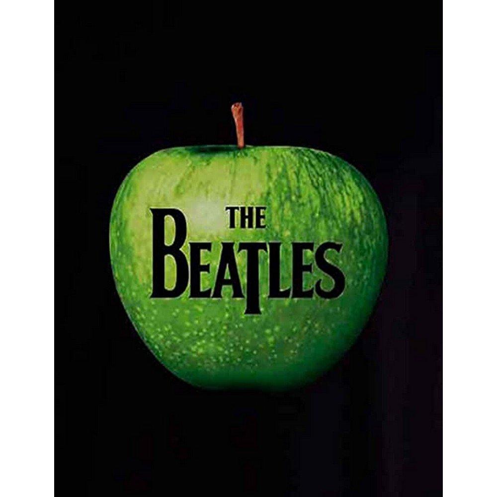 The Beatles  TShirt Logo 