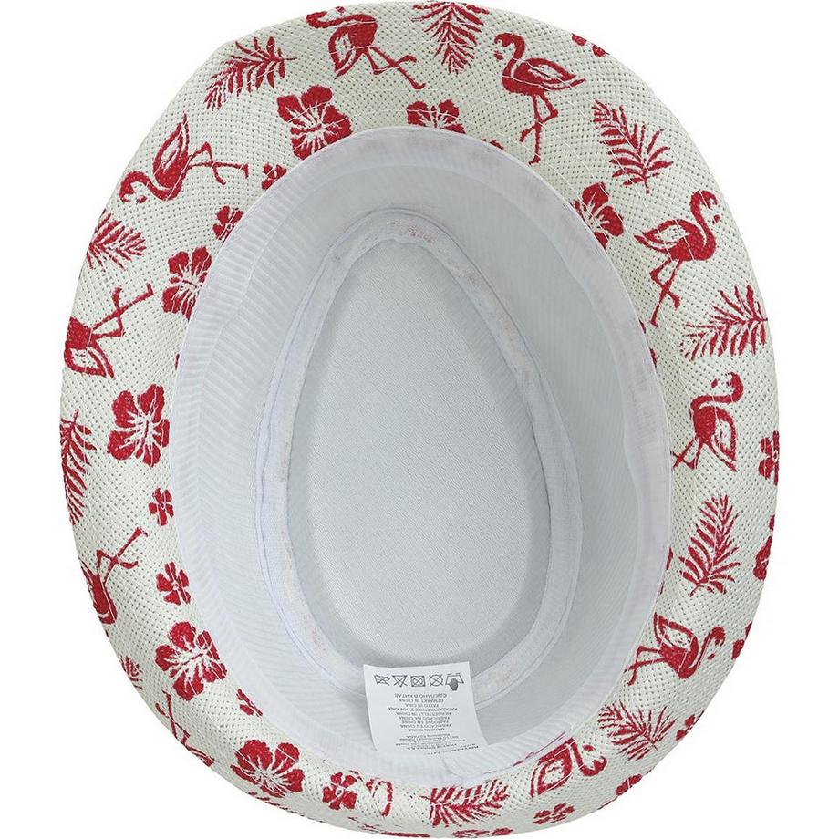 Fiestas Guirca  Hut  , Sommer 