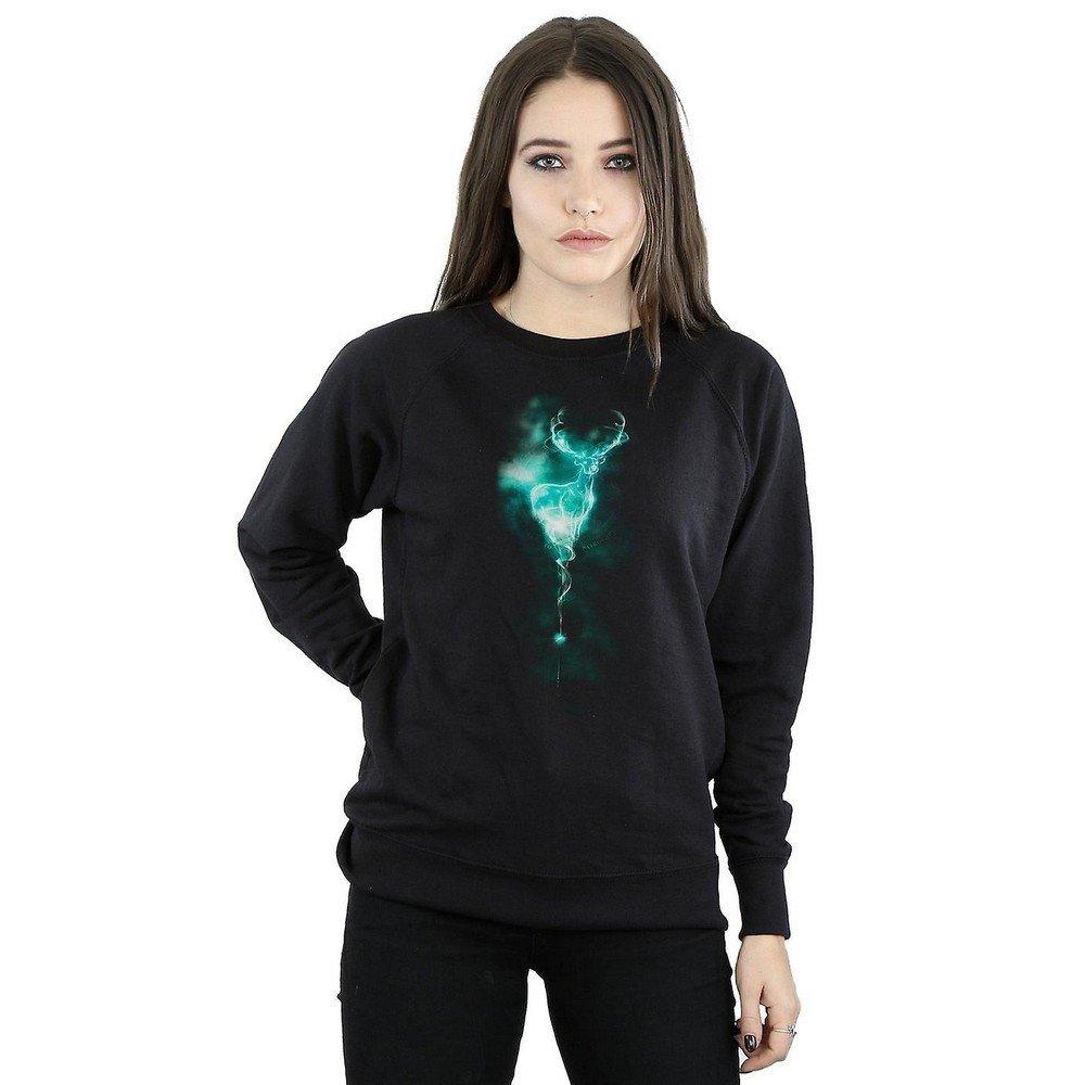 HARRY-POTTER  Sweatshirt 