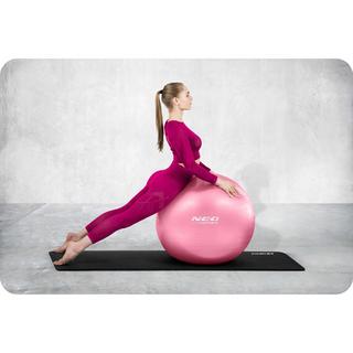 B2X  Trainingsball 55 cm NS-950 Pink 