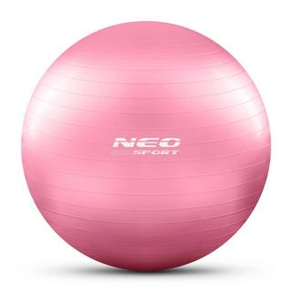 B2X  Trainingsball 55 cm NS-950 Pink 