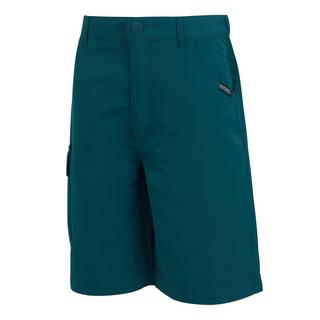 Regatta  Sorcer II Shorts 