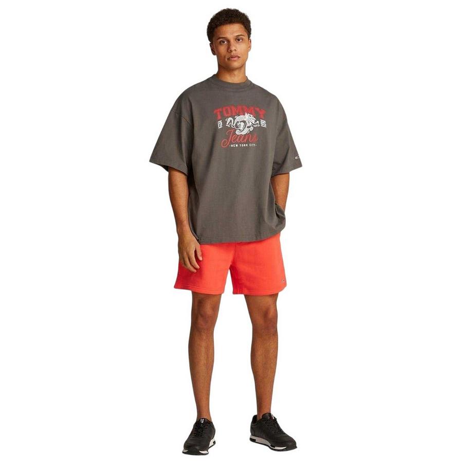 TOMMY JEANS Flagbeach Shorts  