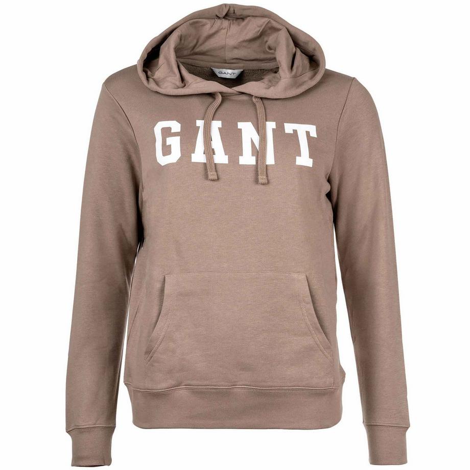 GANT Regular Graphic Hoodie  