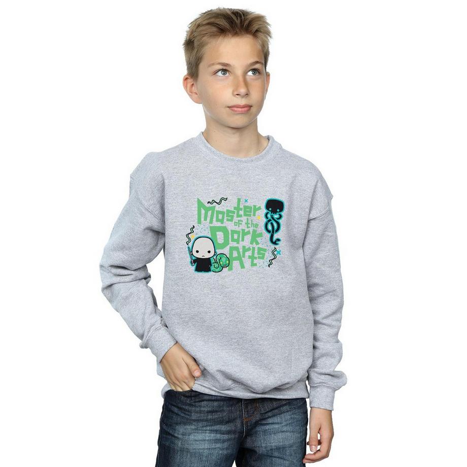 Harry Potter  Voldemort Dark Arts Junior Sweatshirt 