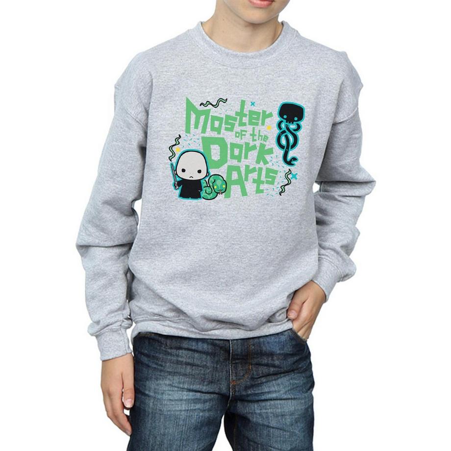 Harry Potter  Voldemort Dark Arts Junior Sweatshirt 