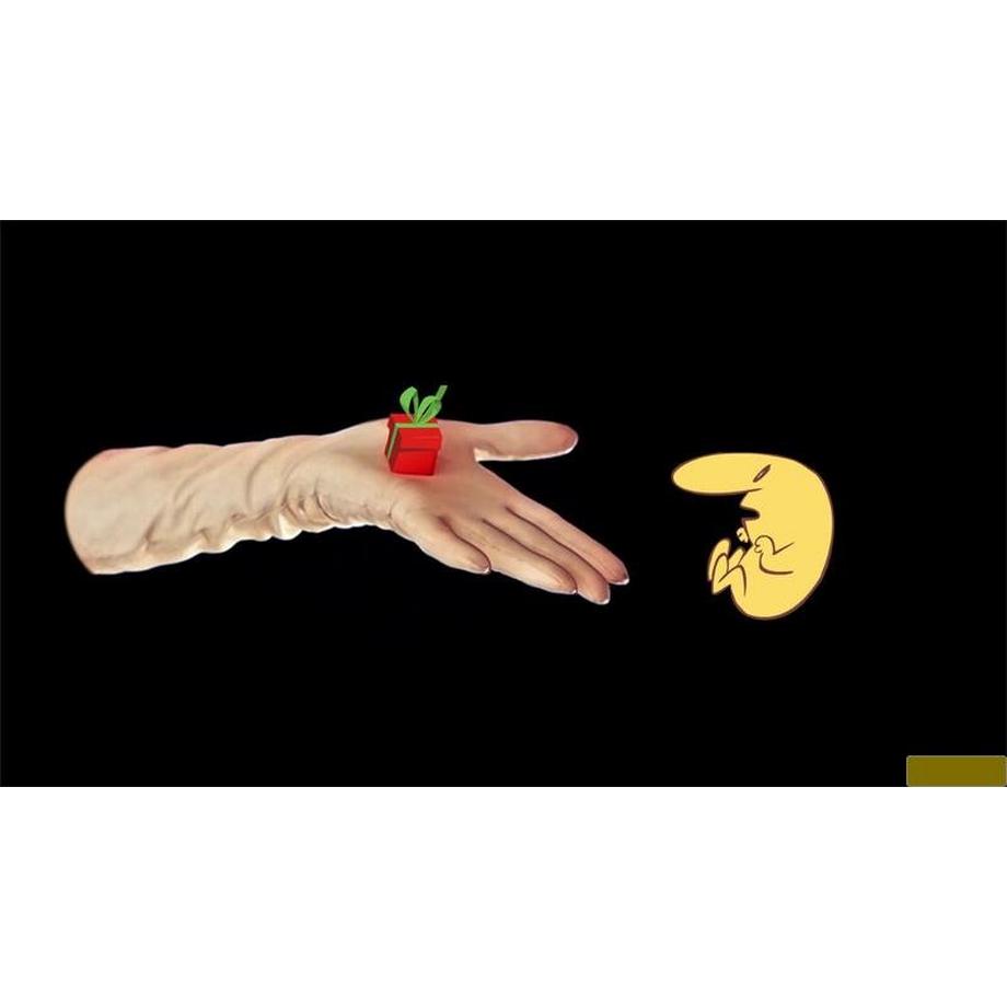 Mindscape  The Many Pieces of Mr. Coo - Fantabulous Edition 