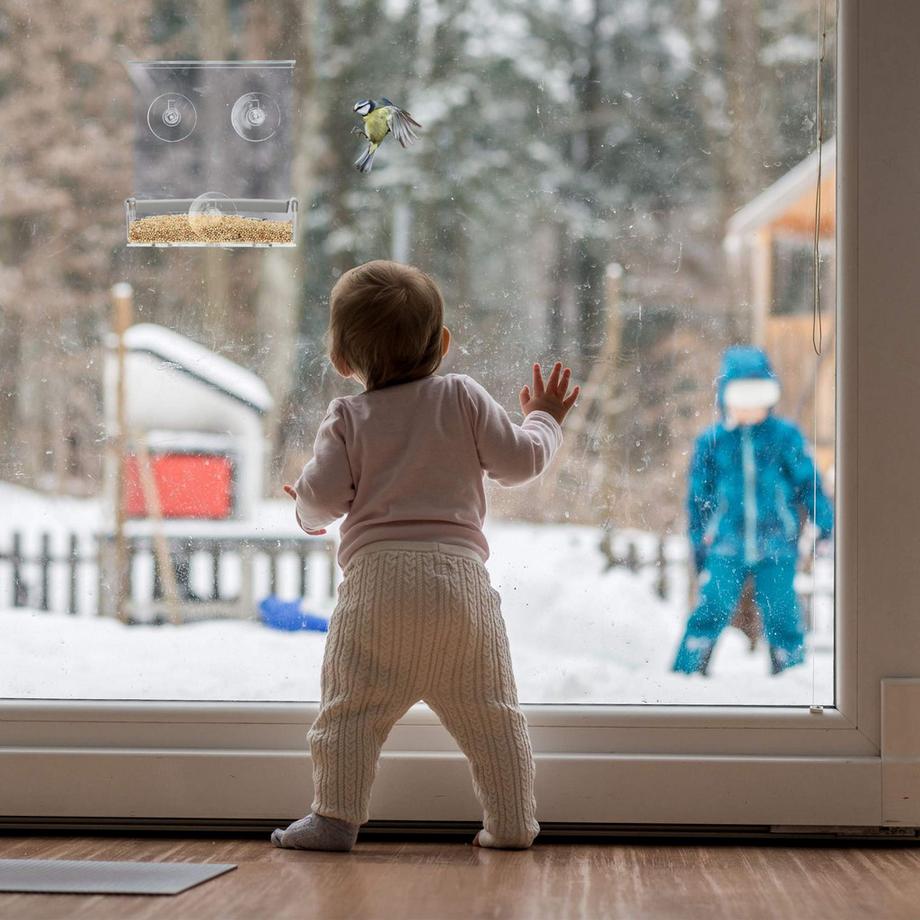 B2X  Mangeoire à oiseaux pour fenêtres 