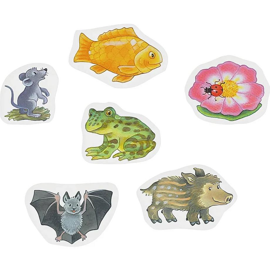 ministeps Wer wohnt wo? Eberhard, Irmgard; Eberhard, Irmgard (Illustrationen) Copertina rigida 