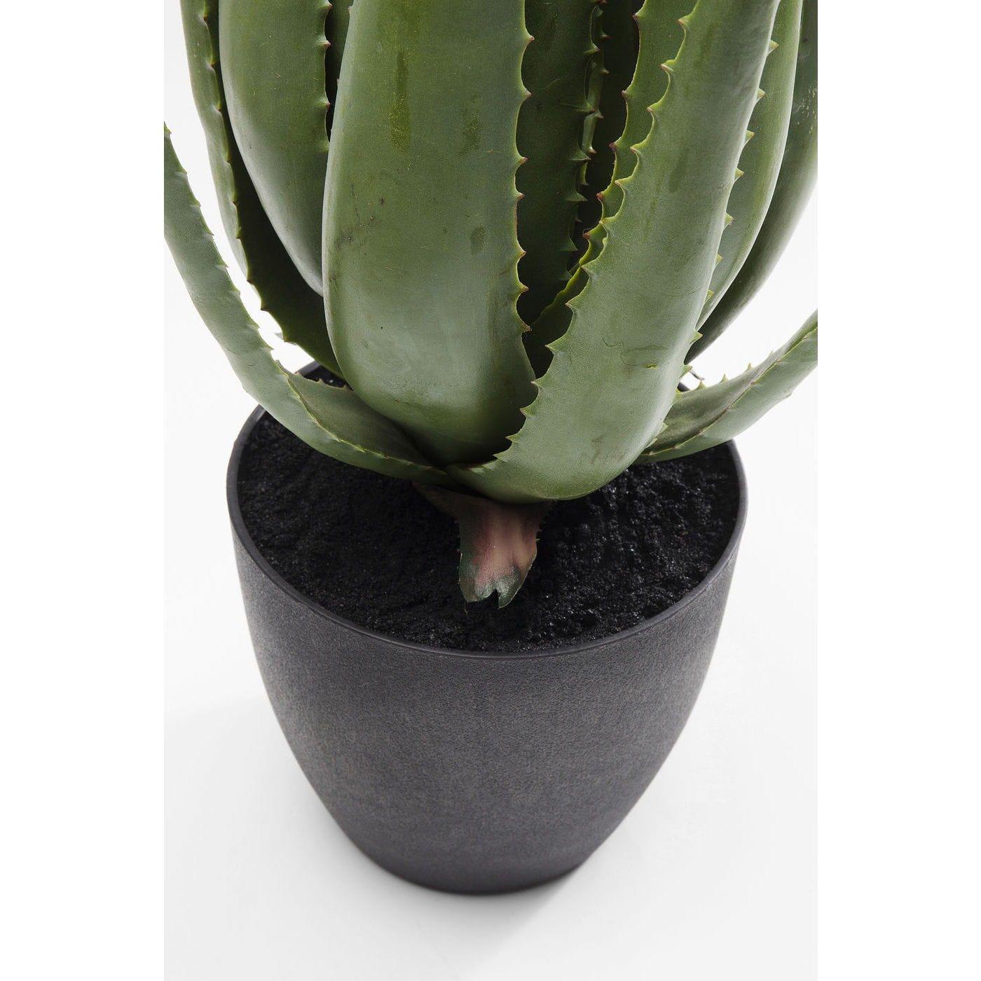 KARE Design Plante décorative Aloe 69cm  