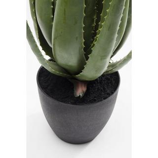 KARE Design Plante déco aloès 69cm  