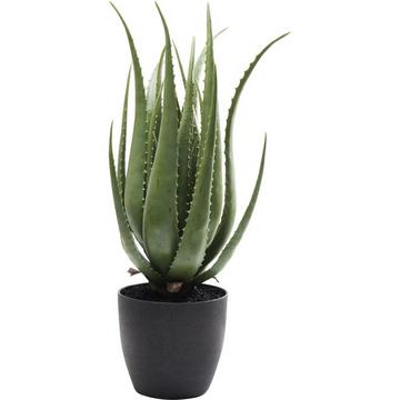 Aloe pianta decorativa 69cm