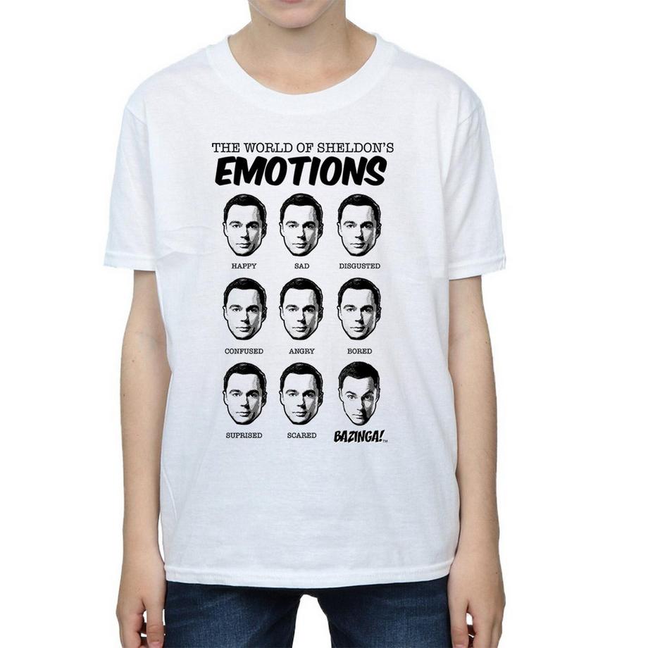 The Big Bang Theory  TShirt 
