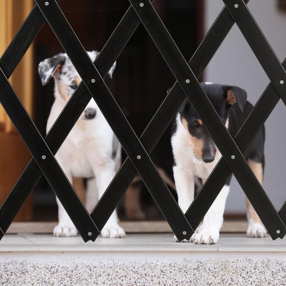 B2X  Grille rétractable pour chien Noir 