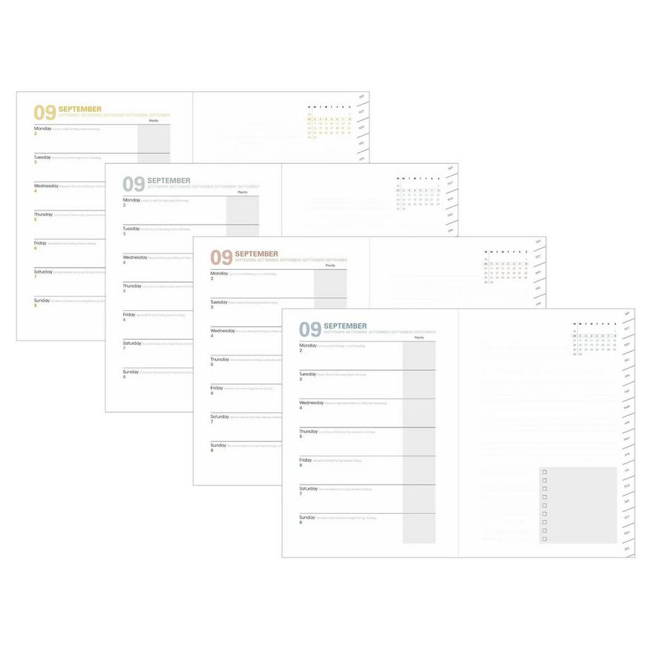 QUO-VADIS PLAN NOTE 1521 ML Andrea  