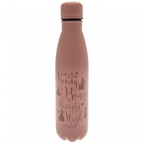 Disney PRINCESS Thermosflasche Thirsty Work  