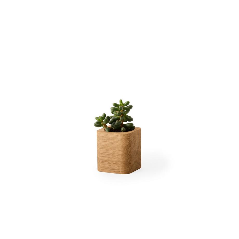 Oakywood Cubic Pot Pot en bois cubique - pour des crayons ou une fleur  