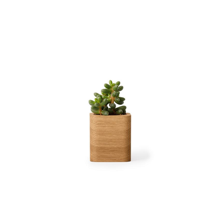 Oakywood Cubic Pot Pot en bois cubique - pour des crayons ou une fleur  