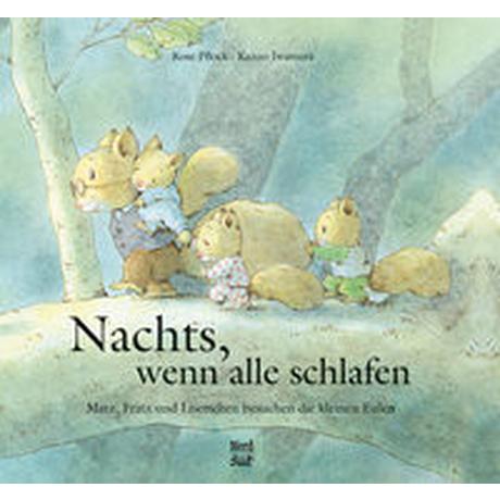 Nachts, wenn alle schlafen Iwamura, Kazuo; Pflock, Rose (Adaptiert); Iwamura, Kazuo (Illustrationen) Gebundene Ausgabe 