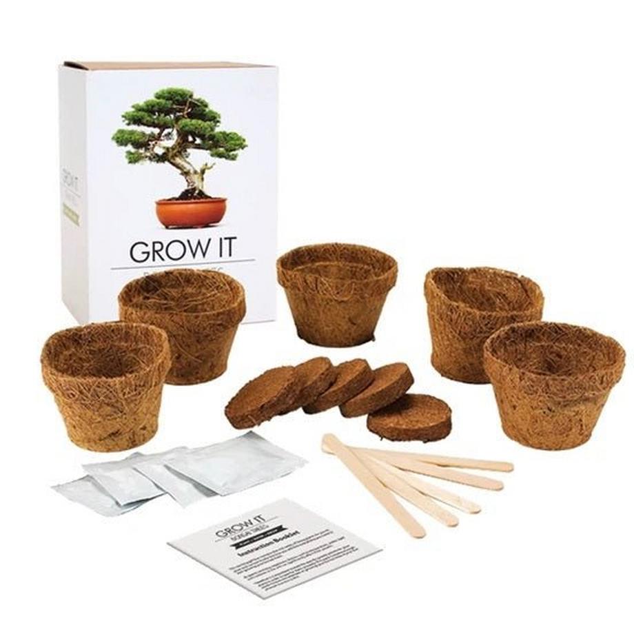Gift Republic Grow it Bonsai DIY Baum - Wohndekoration  