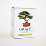 Gift Republic Grow it Bonsai DIY Baum - Wohndekoration  