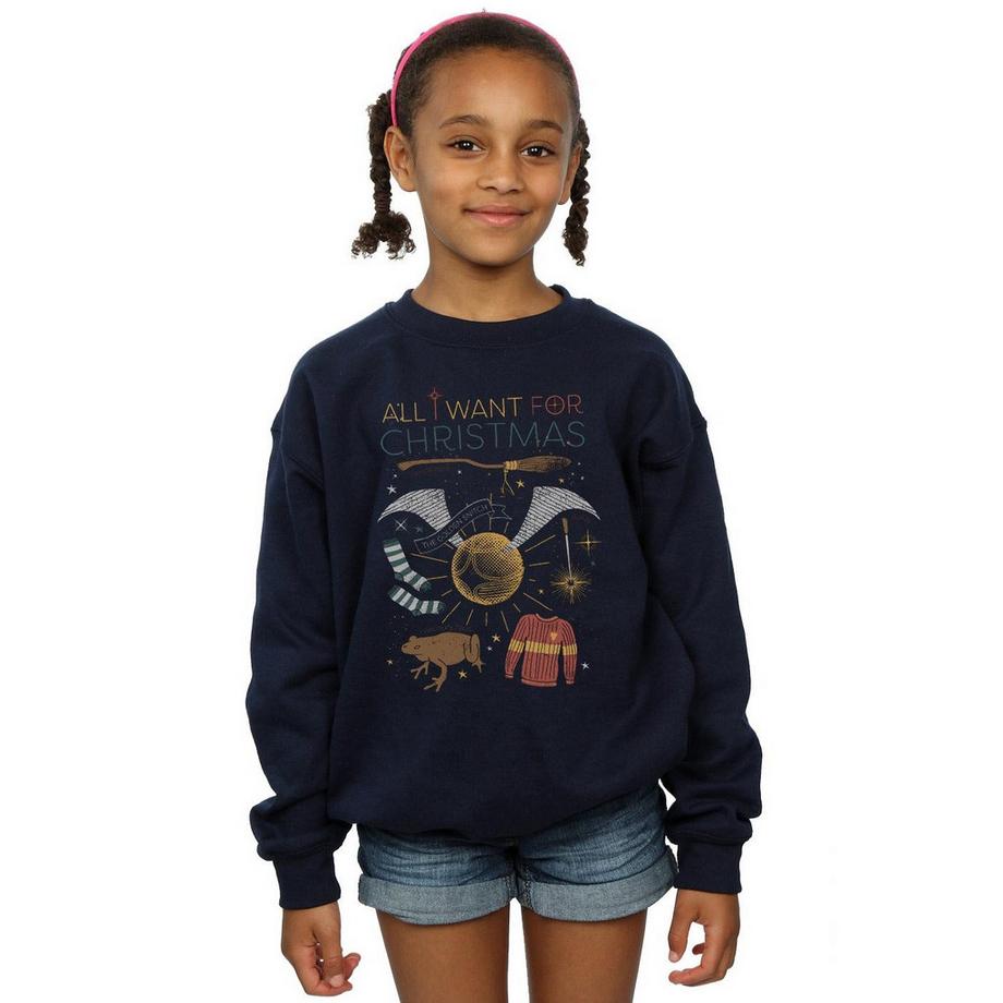 Harry Potter  All I Want For Sweatshirt 