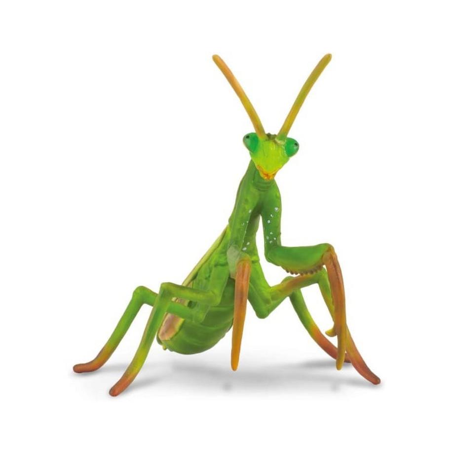 CollectA  Little Wonders Gottesanbeterin 