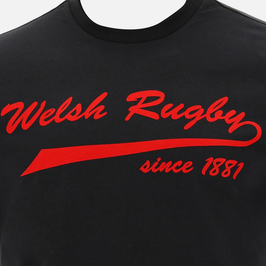 macron Welsh Rugby Federation Supporter Line T-Shirt  