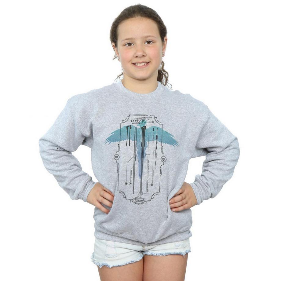 Harry Potter  Sweatshirt 