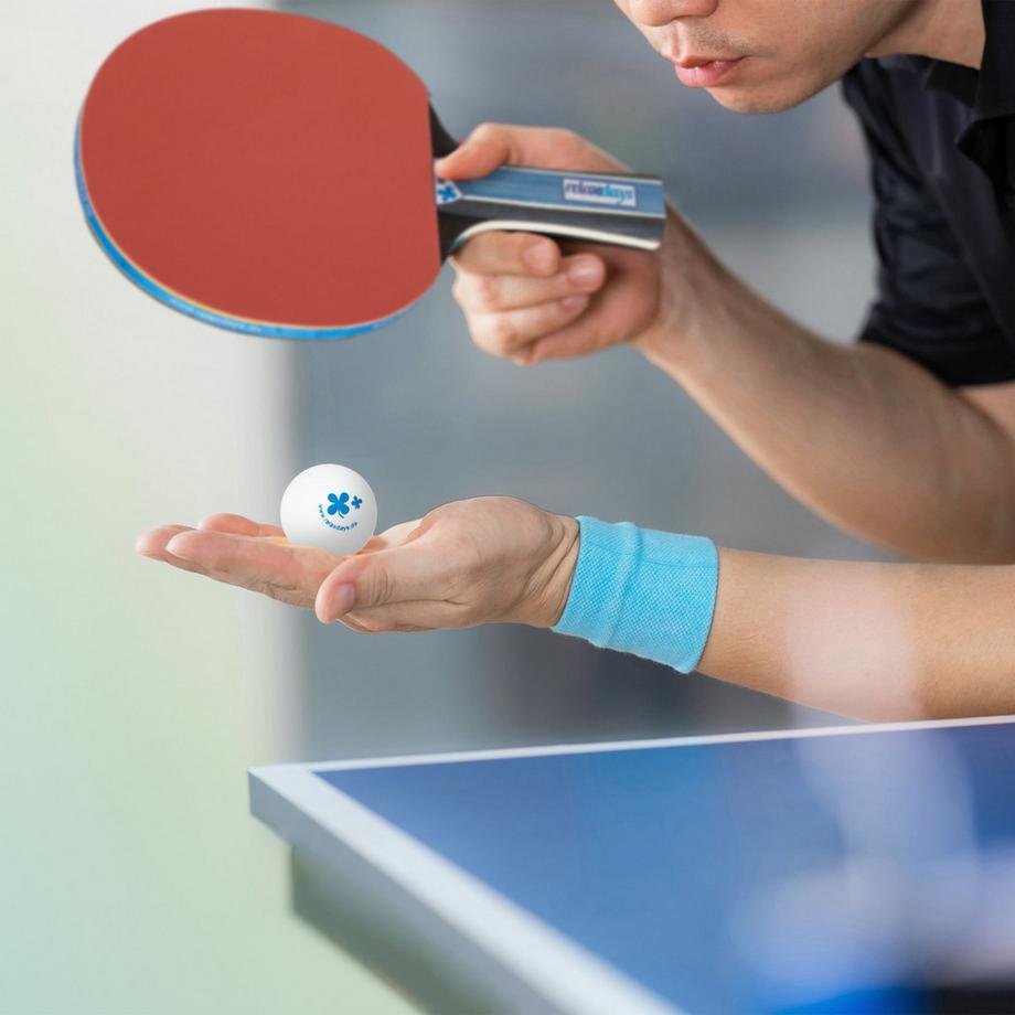 B2X  Set di racchette da ping pong con rete 