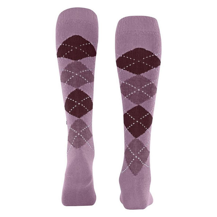 Burlington Whitby Argyle Chaussettes Hautes  
