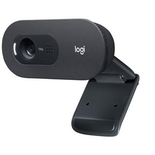 Logitech  C505e webcam 1280 x 720 Pixel USB 