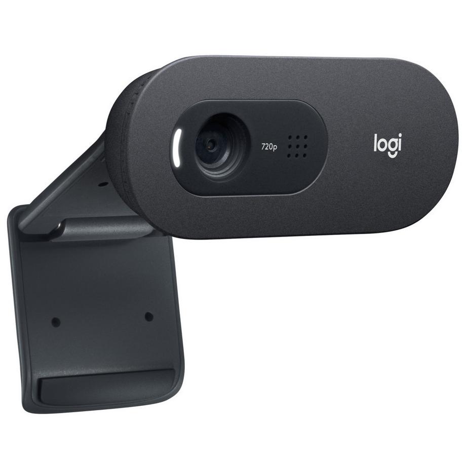Logitech  C505e Webcam 1280 x 720 Pixel USB 