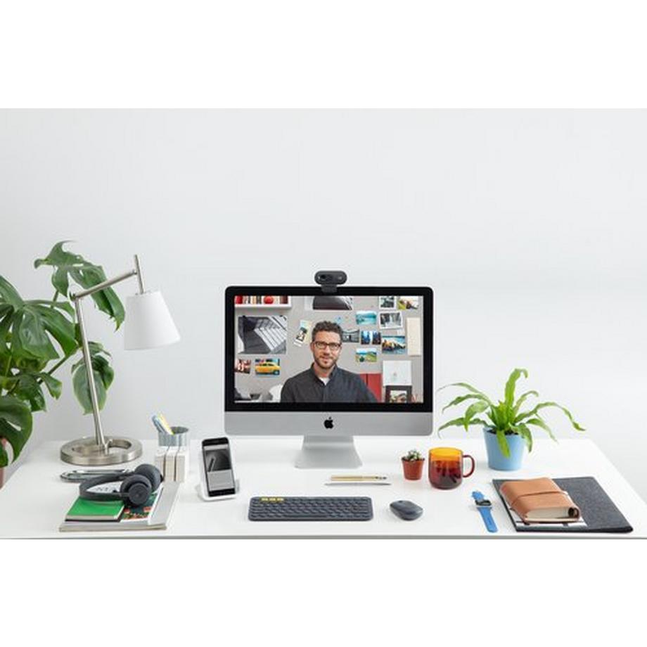 Logitech  C505e Webcam 1280 x 720 Pixel USB 