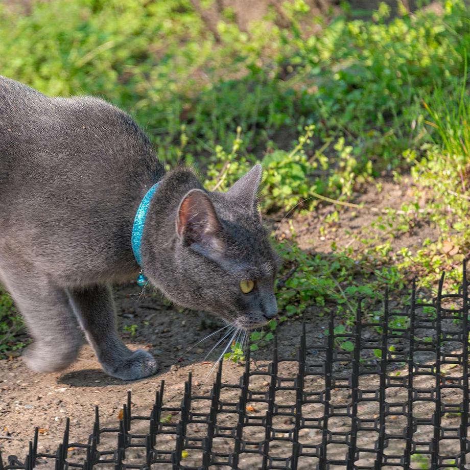 Northio  Ensemble de 12 grilles d'épines 