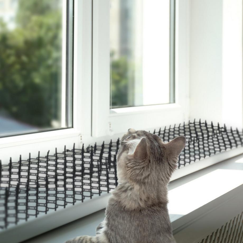 Northio  Ensemble de 12 grilles d'épines 