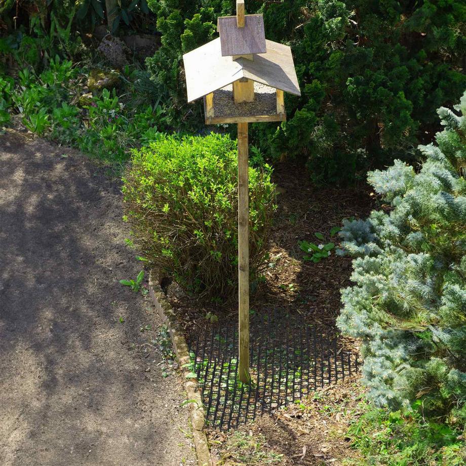 Northio  Ensemble de 12 grilles d'épines 