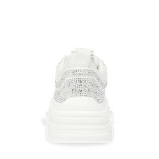 STEVE MADDEN  Baskets femme  Privy 