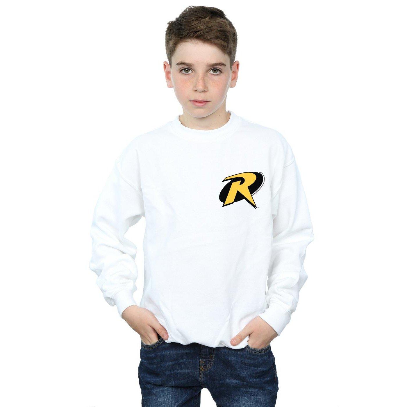 DC COMICS  Sweatshirt 