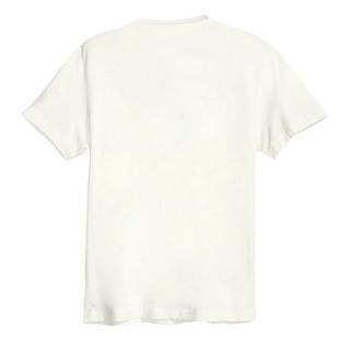 Amplified Born In The USA T-Shirt  