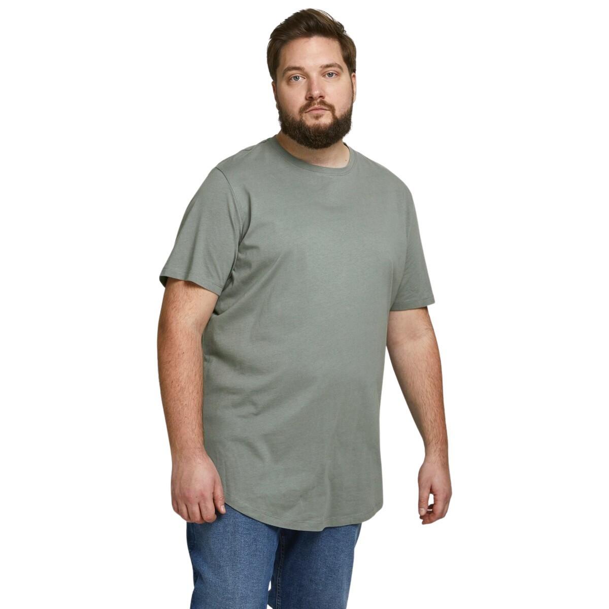 JACK & JONES Jjenoa Crew Neck Plus Size T-Shirt  