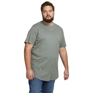 JACK & JONES Jjenoa Crew Neck Plus Size T-Shirt  