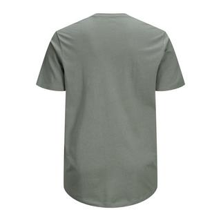 JACK & JONES Jjenoa Crew Neck Plus Size T-Shirt  