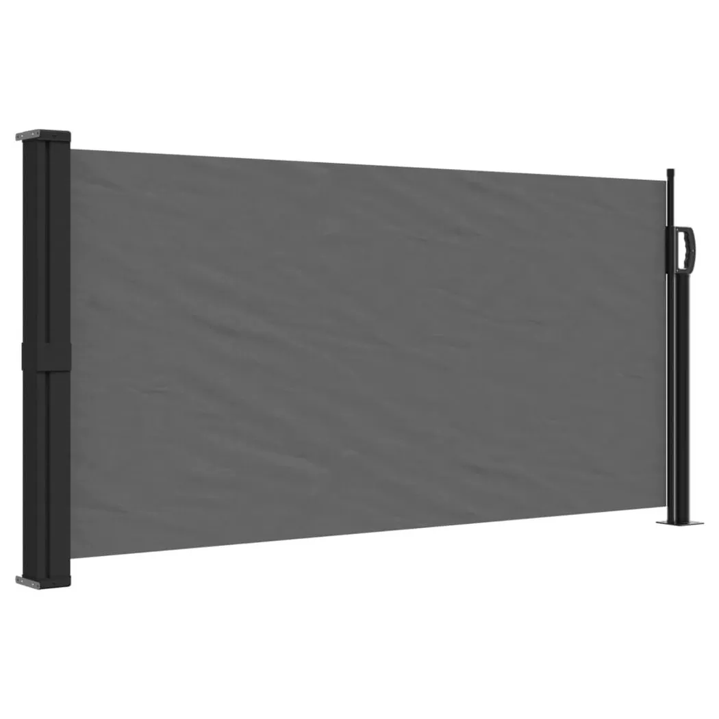 Tenda Da Sole Laterale Retrattile Antracite 100x300 Cm
