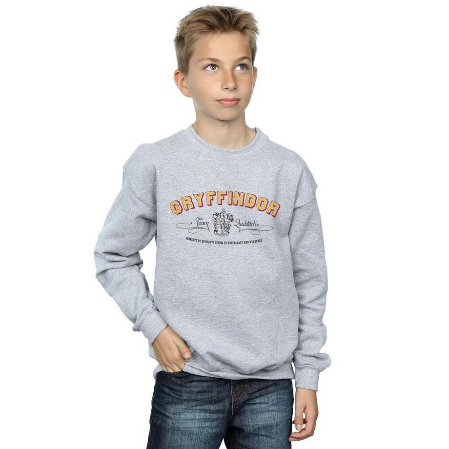 Harry Potter  Sweat GRYFFINDOR QUIDDITCH 