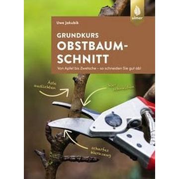 Grundkurs Obstbaumschnitt