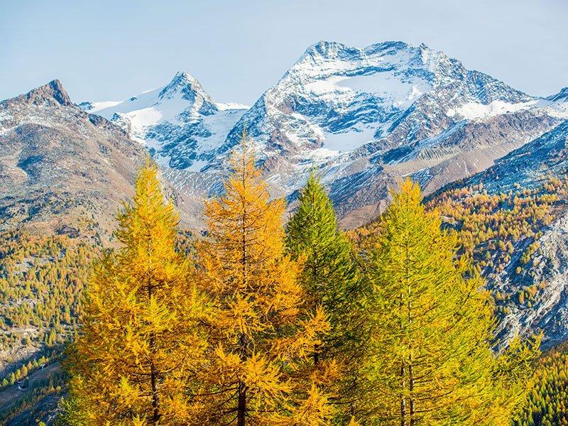 Smartbox  Séjour romantique dans le canton du Valais : 1 nuit en hôtel 4* avec souper aux chandelles - Coffret Cadeau 